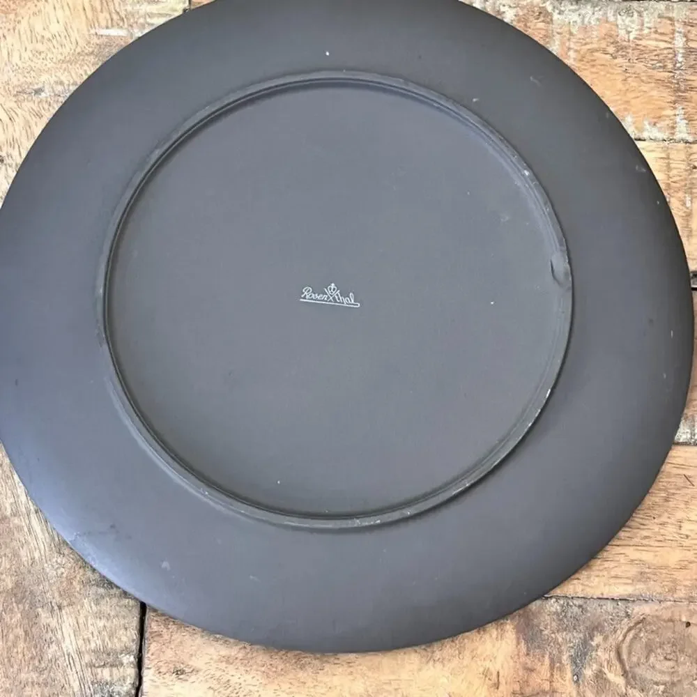 Rosenthal Junto Stoneware Lunch Plates Set 8